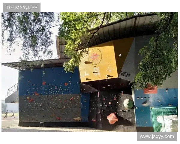 南京攀岩队的蜕变之旅:从传统训练到现代竞技的全新探索